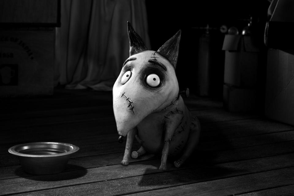 FRANKENWEENIE, from left: Sparky, 2012.