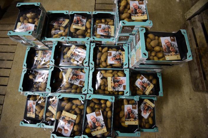 Packaged pototoes at the Salty Potato Farm (AFP Photo/Emmanuel Dunand)