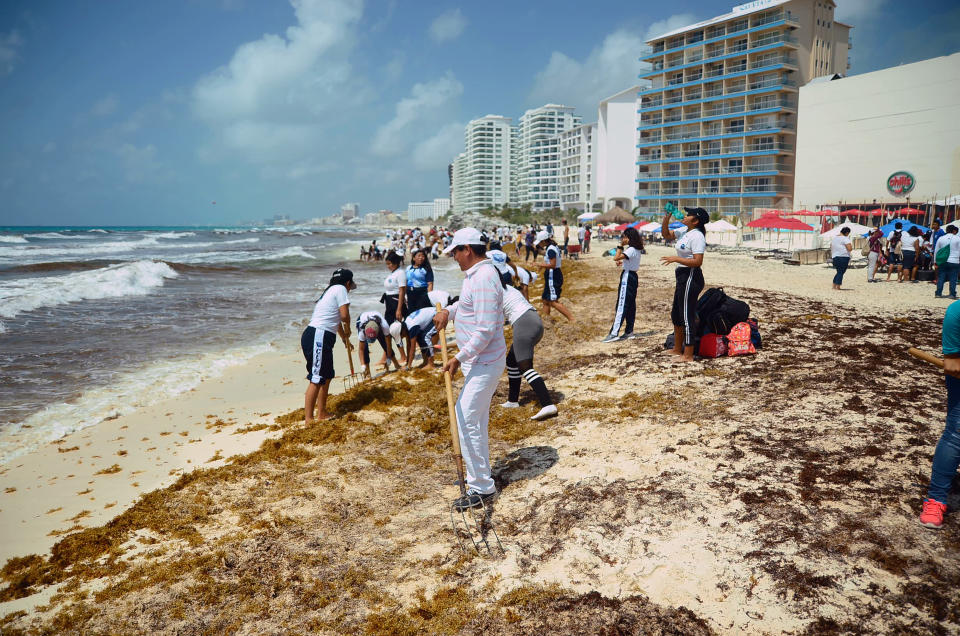 Gente y autoridades vivieron momentos difíciles para rehabilitar estas playas. La plaga de sargazo ahuyentó a los turistas. / Foto: Medios y Media.