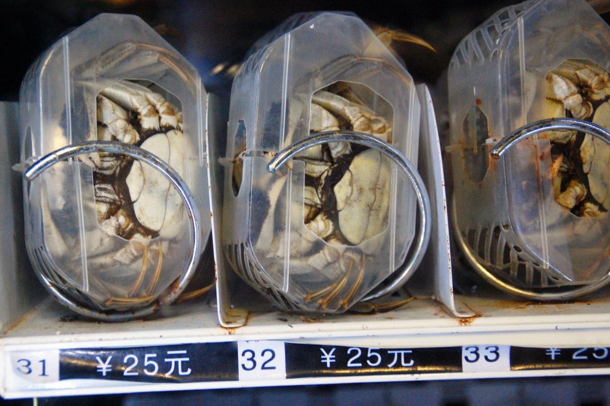 crabs in vending machine