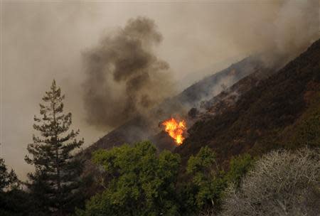 A blaze flares up during a wild fire in Big Sur, California, December 17, 2013. REUTERS/Michael Fiala