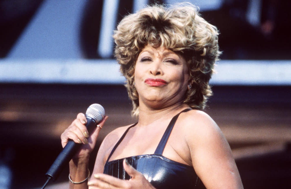 Tina Turner credit:Bang Showbiz