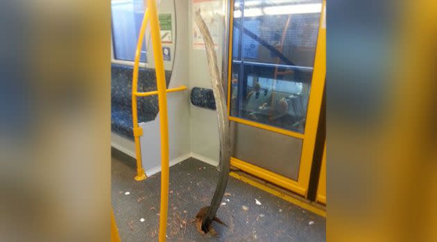 The shocking image of a piece of metal that has pierced through the floor of a Sydney train. Photo: Supplied/KimJong-Unbelievable