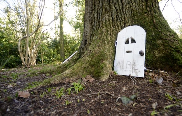 Woodland authorities crack down on fairy doors