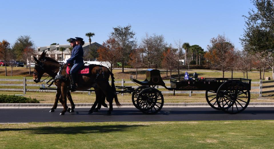 The Fitzgeralds and their mules transport Sgt. Frank Roth, a WWII veteran who joined the Marine Corps when he was 17, during his interment ceremony at Cape Canaveral National Cemetery.
