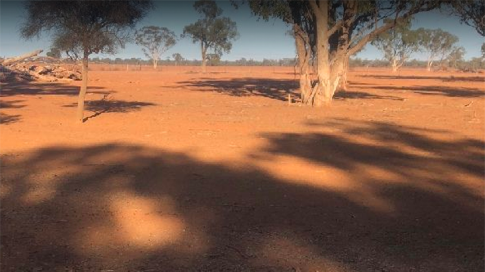 Kylee’s brother took these images of bone-dry land in Nyngan, NSW. Source: GoFundMe