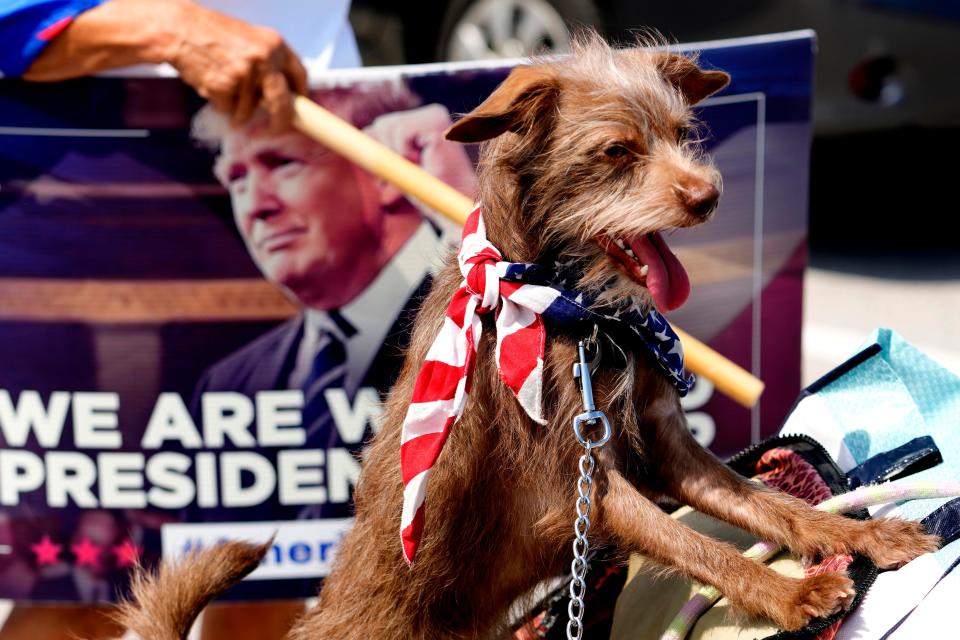 A dog named Benji at a rally for former President Donald Trump outside his Mar-a-Lago estate on April 2, 2023, in Palm Beach, Fla. A New York grand jury has indicted Trump.