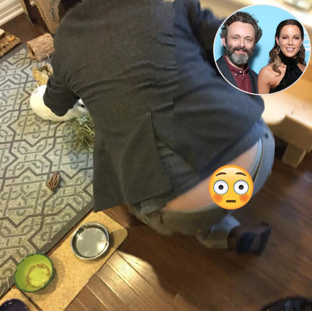 Michael Sheen's plumber's crack as he reaches for something on the floor.