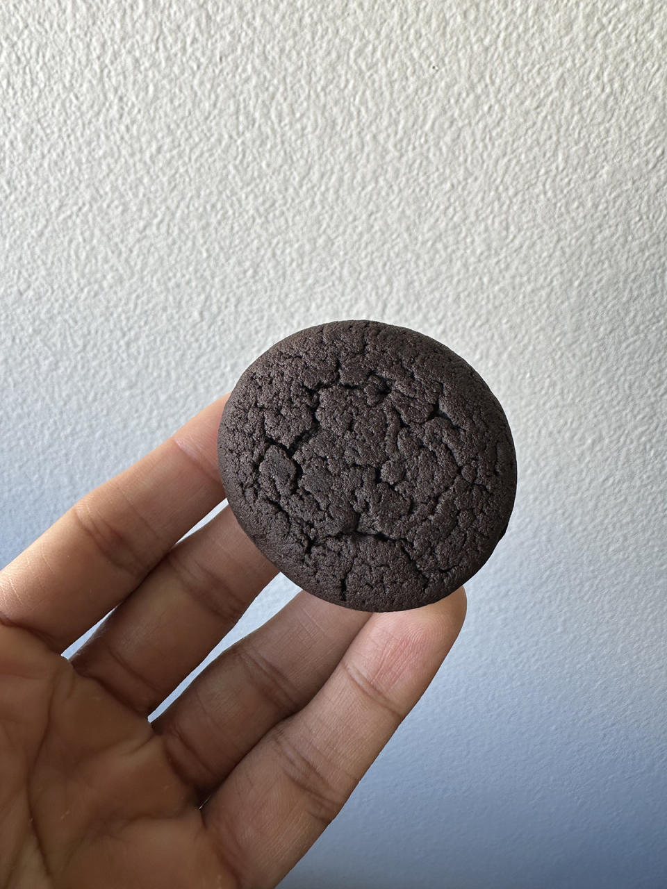 A hand holding one Oreo Cakester