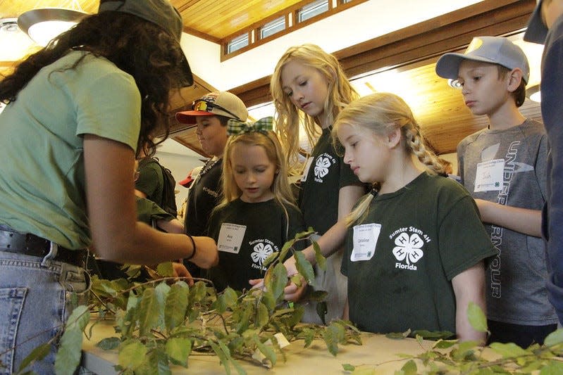 Students participating in the annual 4-H Ecology clinic, which is held as a study and learning session for those competing in the 4-H Ecology Contest in March.