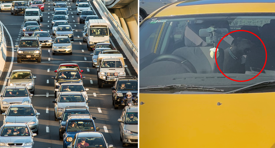 Traffic on the road (left). A dog inside a yellow car (right).