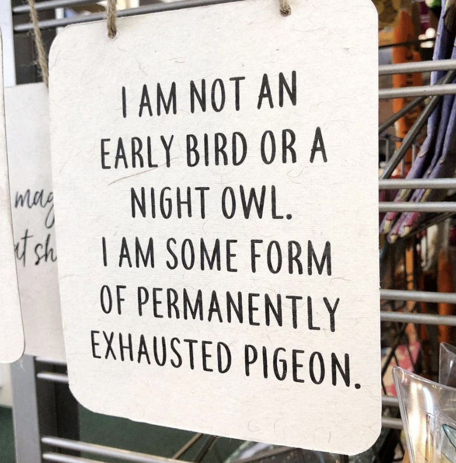 A sign reads, "I am not an early bird or a night owl. I am some form of permanently exhausted pigeon." The sign is hanging on a rack