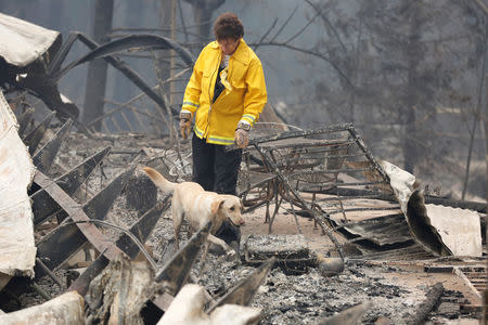 Karen Atkinson, of Marin, searches for human remains with her cadaver dog, Echo, in a house destroyed by the Camp Fire in Paradise, California, U.S., November 14, 2018. REUTERS/Terray Sylvester