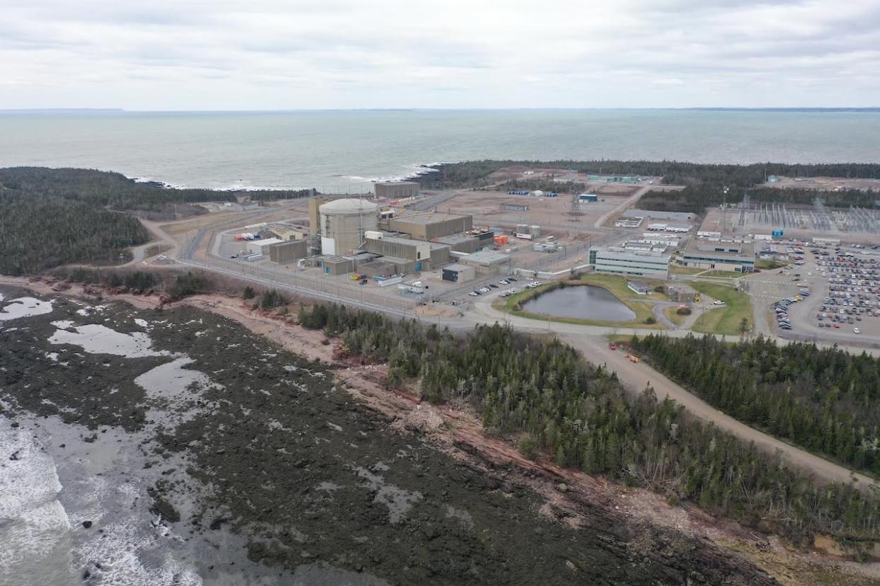 Point Lepreau was built on the edge of the Bay of Fundy in the 1980s and refurbished beginning in 2008. Ongoing production problems have been cited by N.B. Power as a major drag on its finances. (Shane Fowler/CBC - image credit)