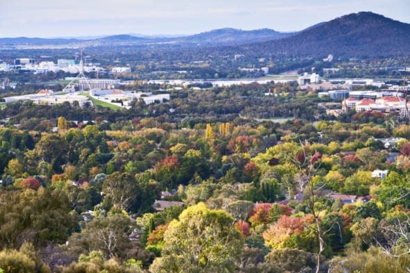 Autumn Colours of Canberra