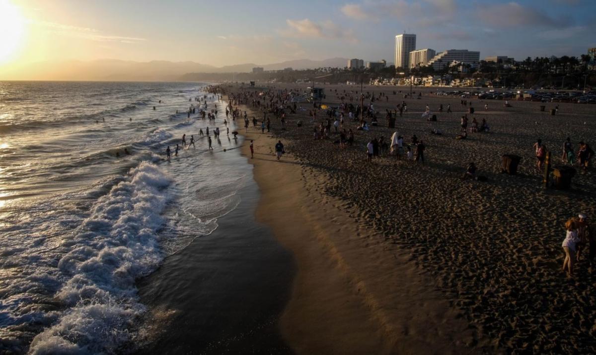 Thousands of Mysterious Yellow Sponges Wash Up On French Beaches, Smart  News