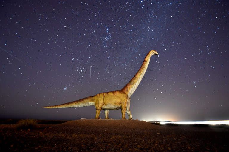 En el acceso norte a Trelew hay una copia en tamaño real del Patagotitan