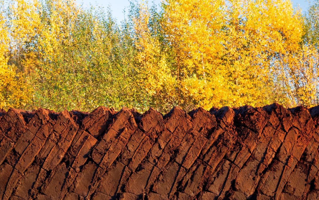 Carbon-rich: slabs of peat piled up after being cut from a bog in northern Germany