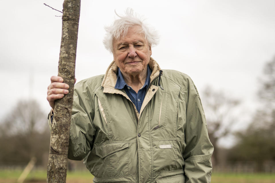 Sir David Attenborough plants a tree, in honour of Queen Elizabeth II, for The Queen's Green Canopy in Richmond Park