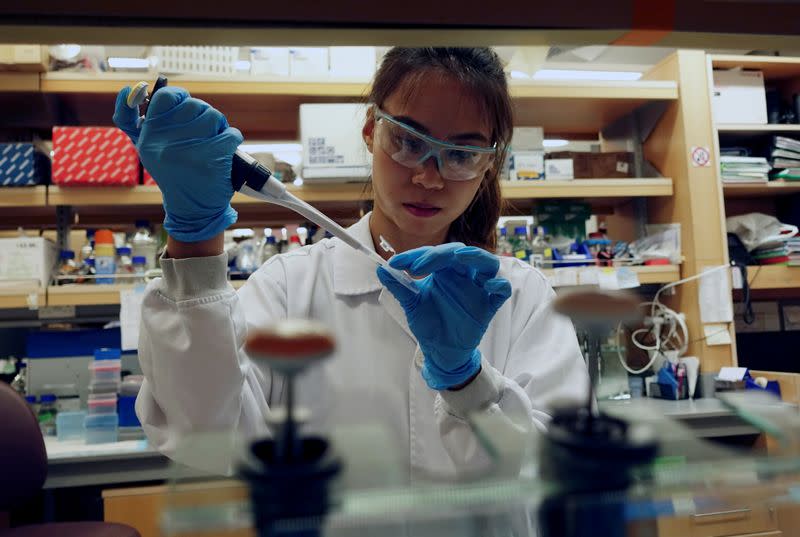 FILE PHOTO: A researcher works in a lab at the Duke-NUS Medical School, which is developing a way to track genetic changes that speed testing of vaccines against the coronavirus disease (COVID-19), in Singapore