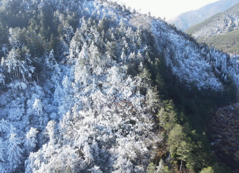思源埡口的台七甲線四十五點七公里處降下瑞雪，整個山區因為霧淞加上白雪，放眼望去，形成一片冰雪銀白世界。（記者陳金龍翻攝）
