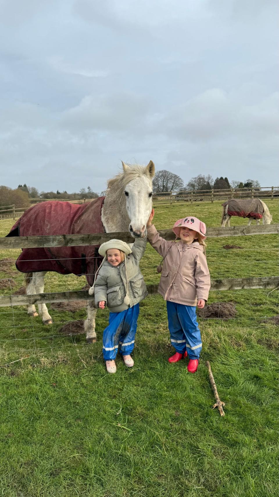 Their goal is to fill their paddock with ponies for the girls (Handout)