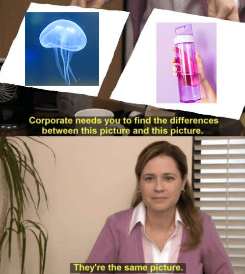 "corporate needs you to find the differences, they're the same picture" meme from "The Office" using a picture of a jellyfish and a picture of a hydro flask with water