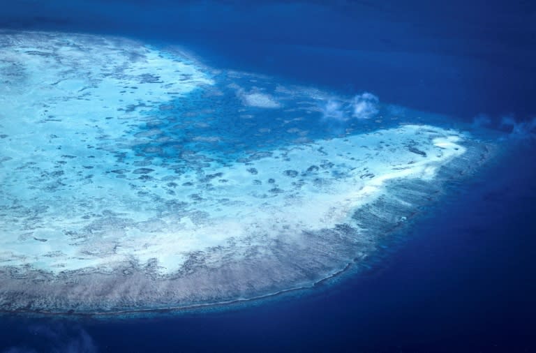 Vue aérienne d'un atoll de corail près de l'île Lizard ,sur la Grande barrière de corail, à 270 km au nord de Cairns, le 4 avril 2024 en Australie (DAVID GRAY)