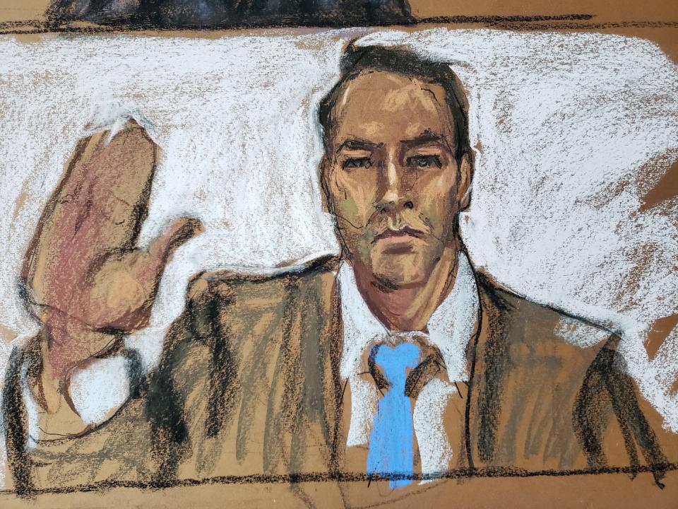 Court sketch of Keller virtual hearing at DC court.