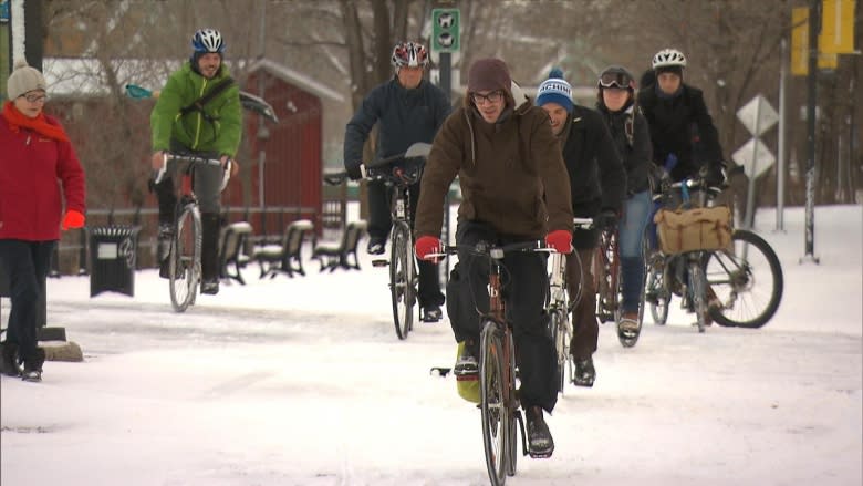 Stretch of Lachine Canal bike path to be cleared during winter months