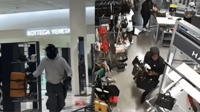 Video captures mob of robbers swarming Nordstrom in Southern