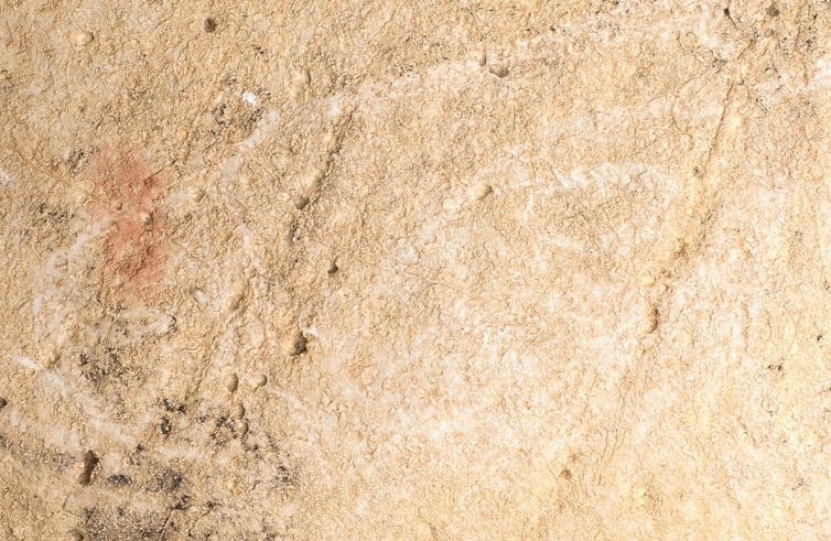 <span class="caption">Digital photograph of the head of an engraved bison from El Castillo Cave, Spain.</span>