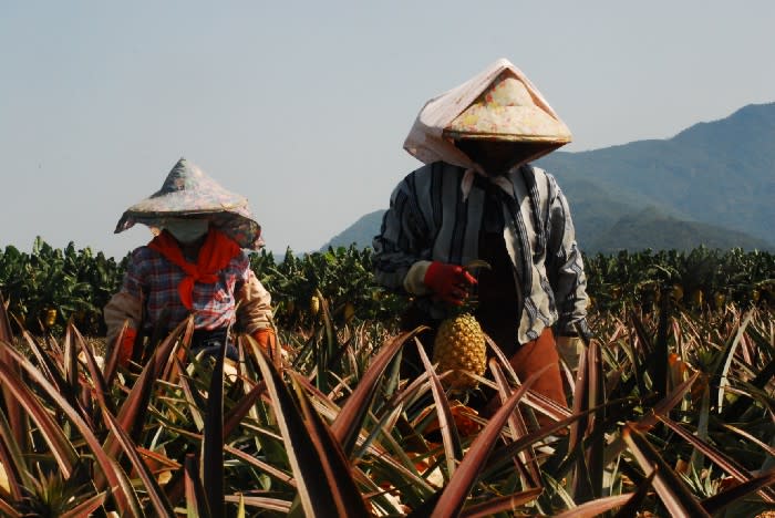 格外農品期望能創造農民、消費者、環境三者共生、共好的局面。   圖：創夢市集/提供