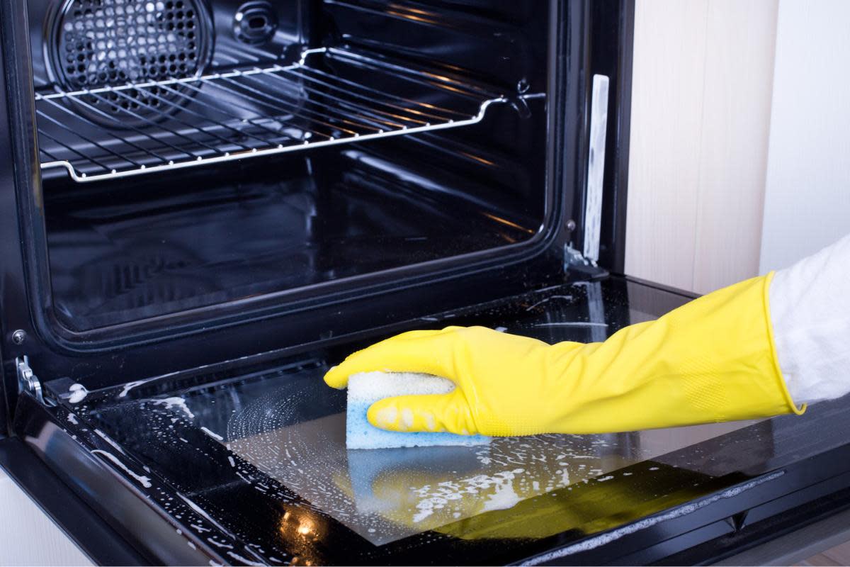 Household items can be used to clean oven doors including baking soda, dish soap, coffee and more <i>(Image: Getty)</i>