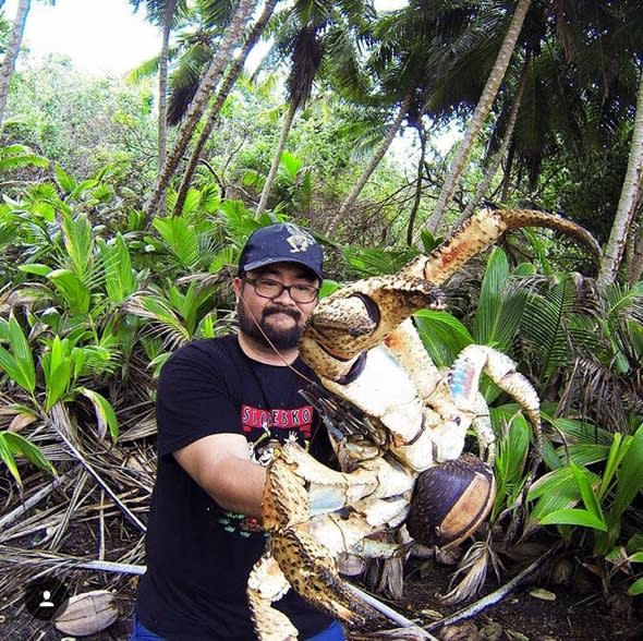 That's brave! Tourist holds giant crab with lethal claws