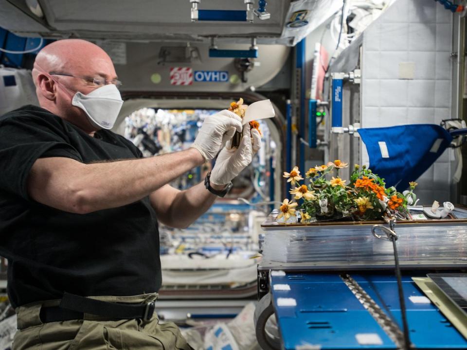 scott kelly gardening space