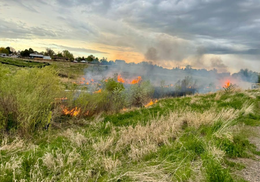 Adams County Fire Rescue said arson investigators were on the scene of a brush fire Saturday evening. (Adams County Fire Rescue)