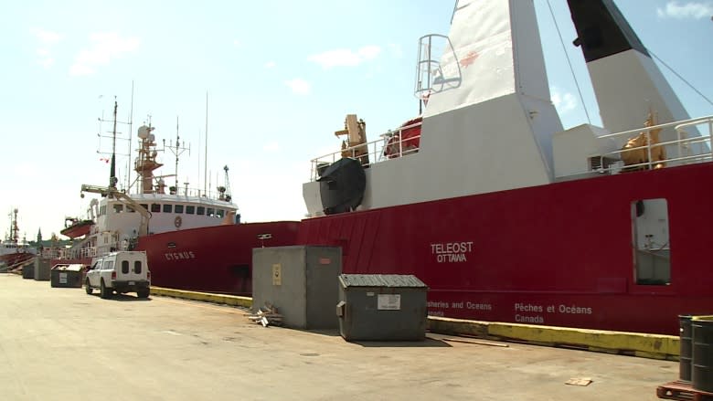 Digging up dirt: Coast Guard dock in St. John's gets $4M upgrade