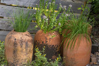 <p> &#x2018;Keeping herbs close to hand is advisable, as you are much more likely to make use of them while cooking than if they are growing down the bottom of the garden,&#x2019; suggests Leigh Clapp.&#xA0; </p> <p> Either grow them near the back door, or regularly cut sprigs and place in glasses of water &#x2013; like you would cut flowers &#x2013; to ensure you always have your favorites on hand and ready to use.&#xA0; </p>