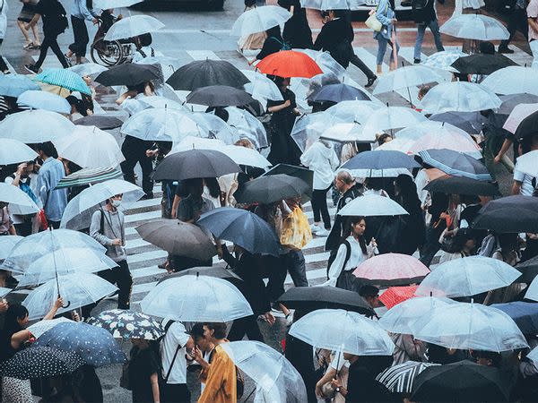 People walking under umbrellas during a rainy day in Shibuya