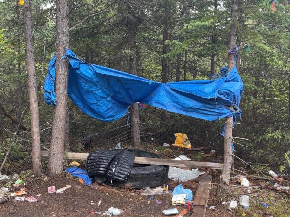This tarp is set up just a short walk from one of the arms of the main trail system in Happy Valley-Goose Bay in June 2021.  (Regan Burden/CBC - image credit)