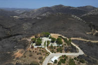 Blackened mountains are seen around the German Military Cemetery, which had been burned in a mid-August wildfire, at Dionysos northern suburb of Athens, Thursday, Aug. 22, 2024. (AP Photo/Thanassis Stavrakis)