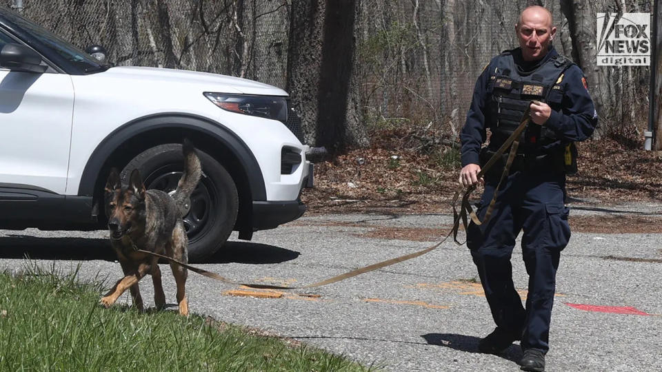 A Suffolk County police officer and K-9 unit searches a wooded area in Manorville, Long Island