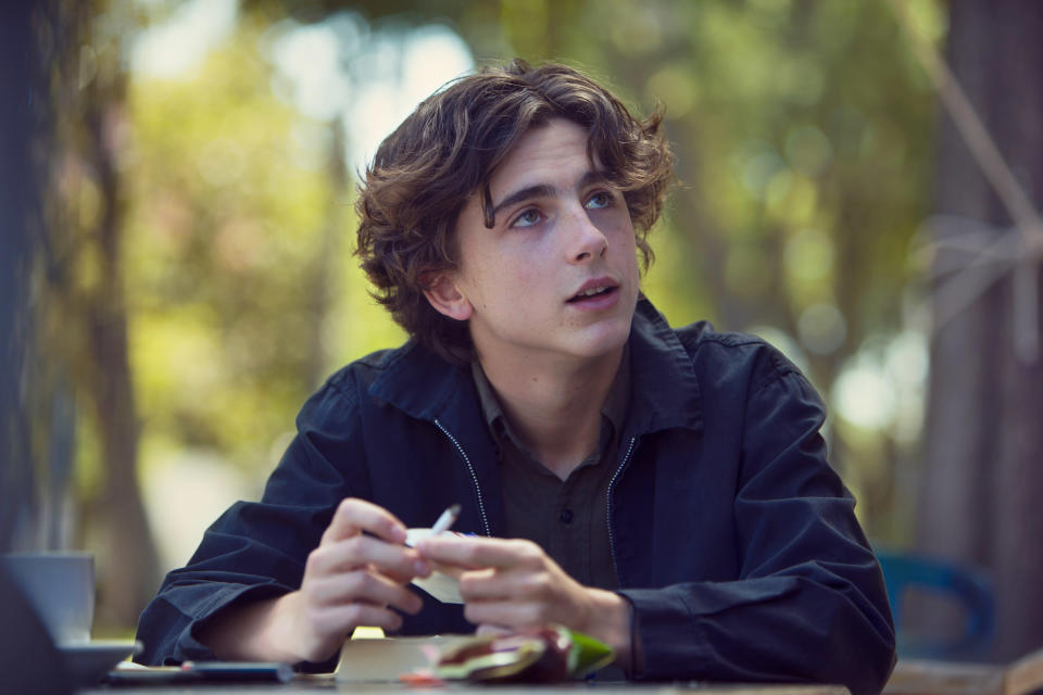 Timothée Chalamet in Lady Bird