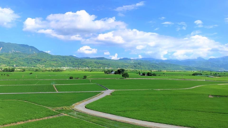 台東關山美景。（圖／翻攝自臺東縣關山鎮公所臉書）