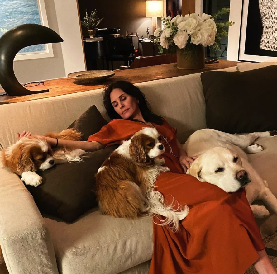 courteney cox living room with dogs