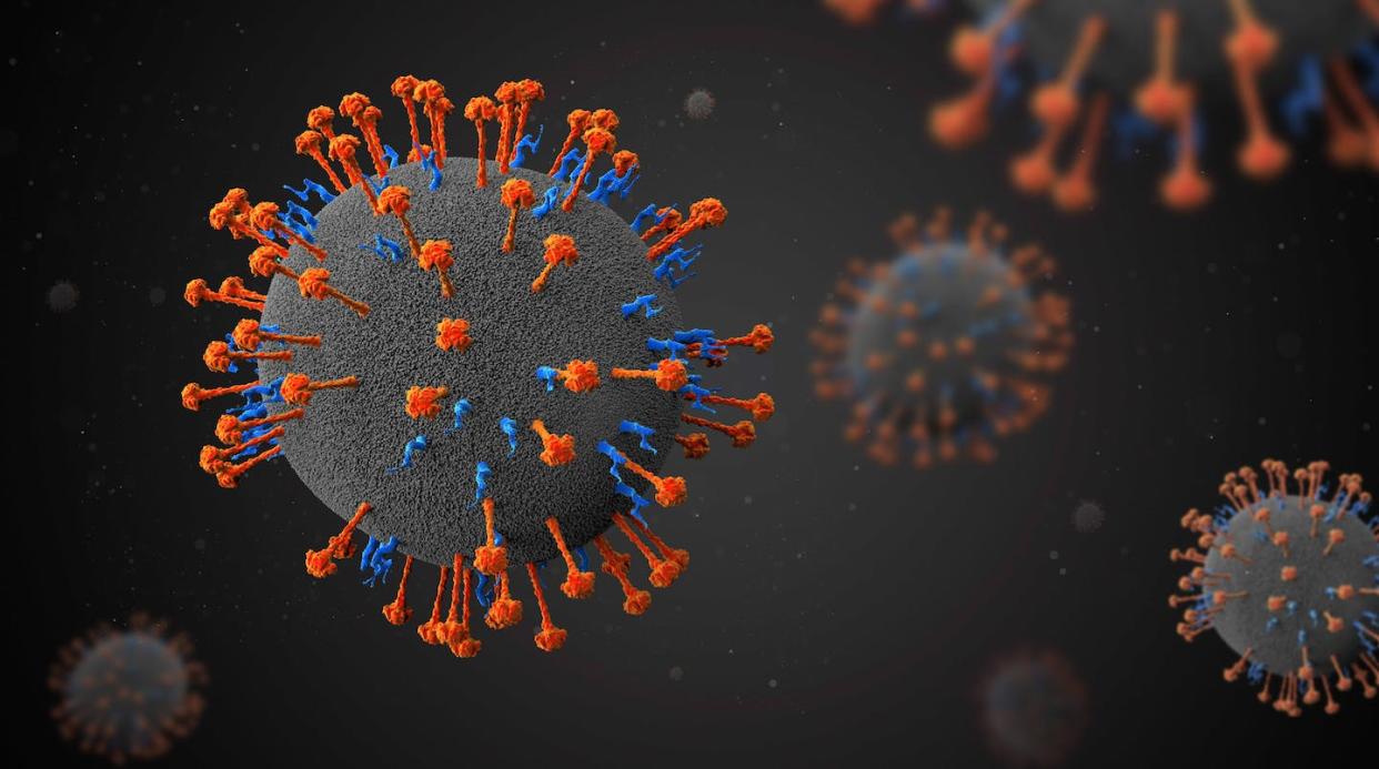 Henipavirus. <a href="https://www.shutterstock.com/es/image-illustration/nipah-virus-henipavirus-hendra-3d-illustration-1098521609" rel="nofollow noopener" target="_blank" data-ylk="slk:Festa / Shutterstock;elm:context_link;itc:0;sec:content-canvas" class="link ">Festa / Shutterstock</a>