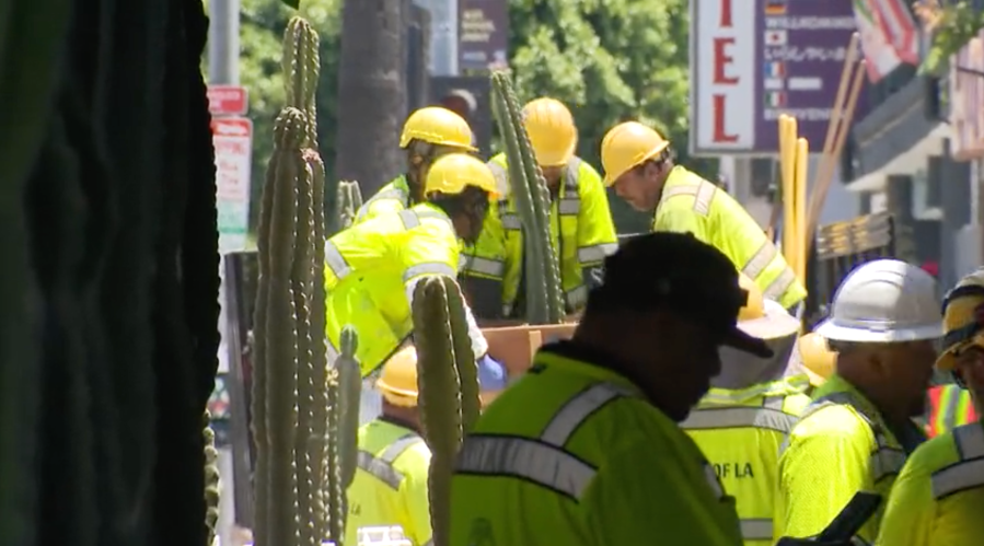 Planters to deter homeless camps in Hollywood removed