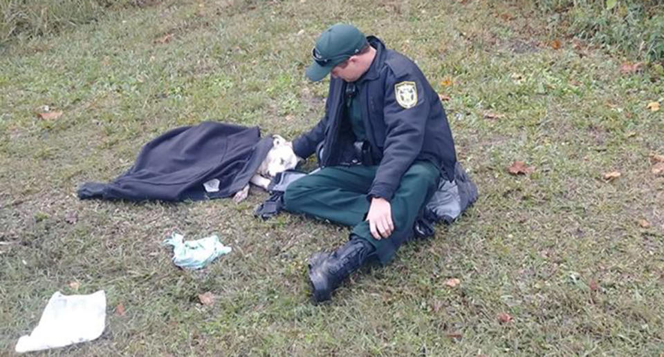 A photograph of a Florida police officer comforting an injured dog hit by car has gone viral.