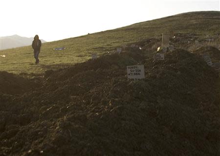 A view of a cemetery, where people including militants killed by security forces are buried, on the suburbs of Makhachkala, October 1, 2013. REUTERS/Ilyas Hajji